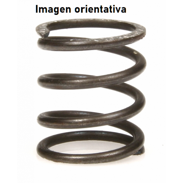 Muelle bomba de aceite rueda dentada dentro de caja carburador